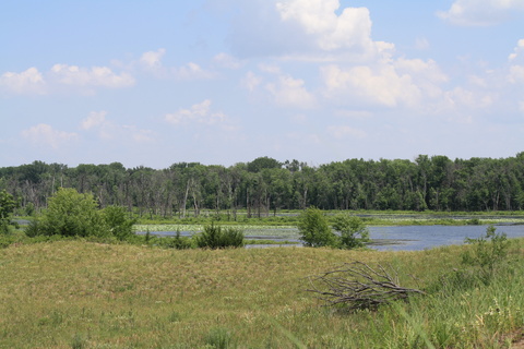 Landscape of Big Sand Mound Nature Preserve