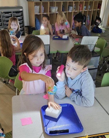 Two students engage in hands-on science activity.