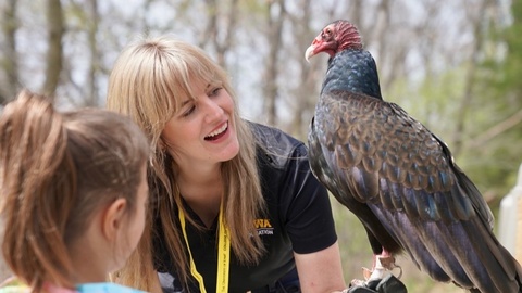 Adult shows student a turkey vulture