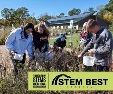 Students doing field work