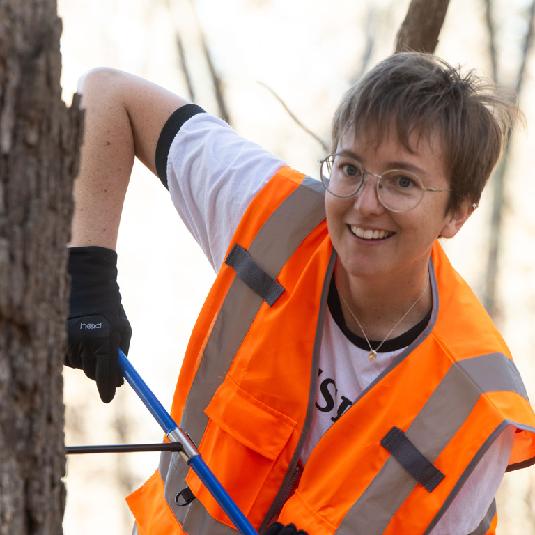 Person getting a core sample from a tree