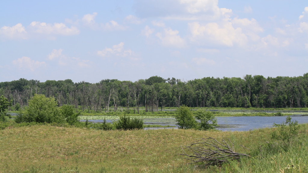 Landscape of Big Sand Mound Nature Preserve